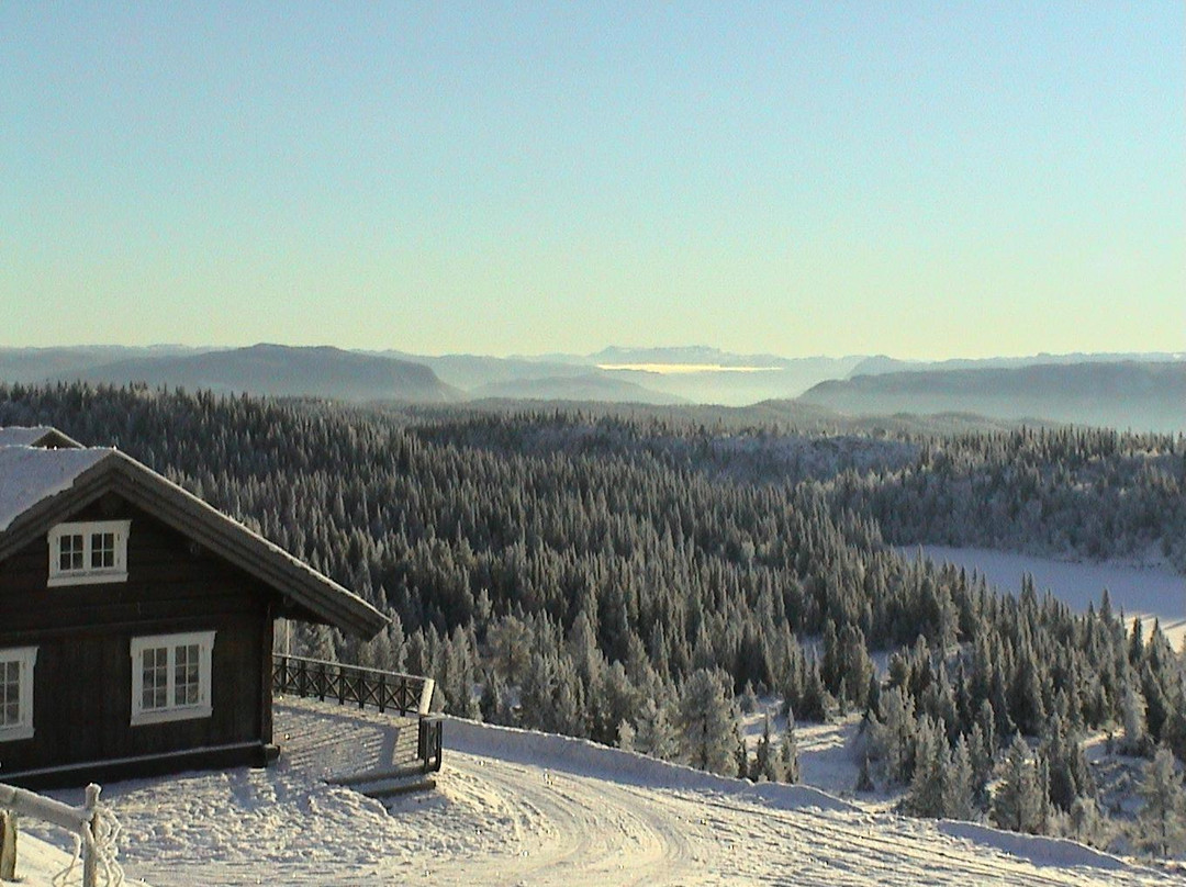 Lostegard Chalet