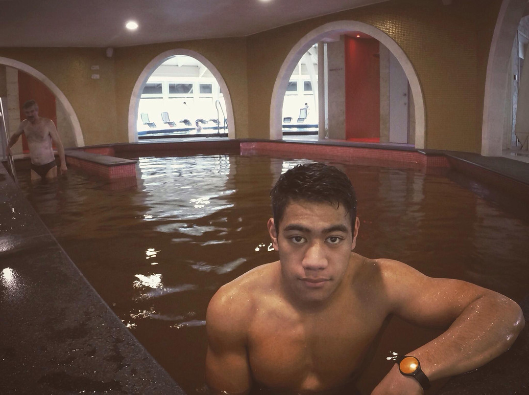 Aquaticum Medicinal and Thermal Baths景点图片