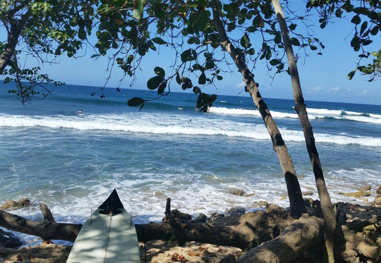 Duke's Surf School & Eco Adventures-吕康必去景点