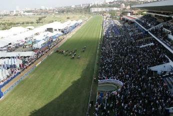 Hollywoodbets Greyville Racecourse景点图片