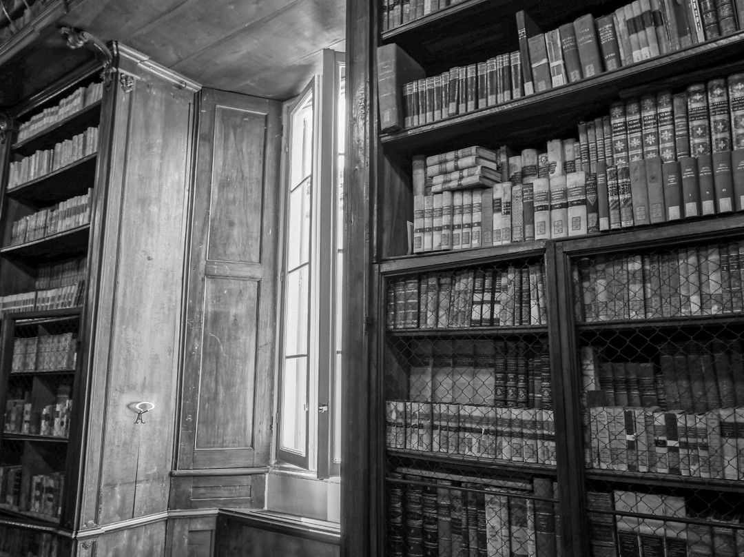 Biblioteca Universitaria di Pavia-帕维亚必去景点