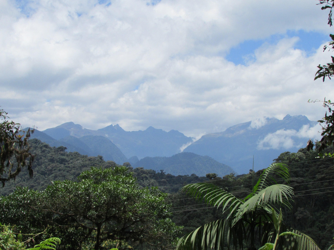 Bellavista Cloud Forest Reserve景点图片