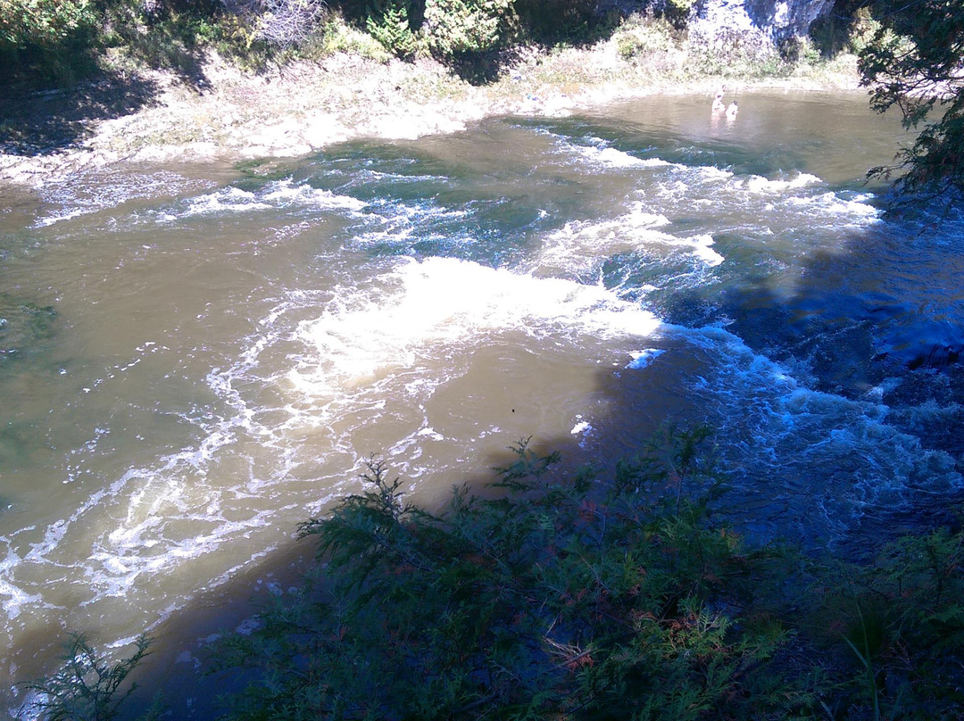 Elora Gorge Conservation Area-伊劳拉必去景点
