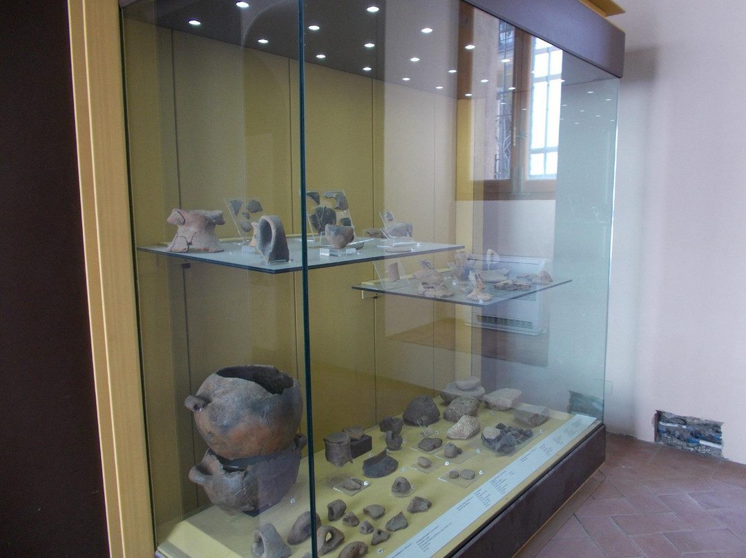 Antiquarium D. Ryolo景点图片