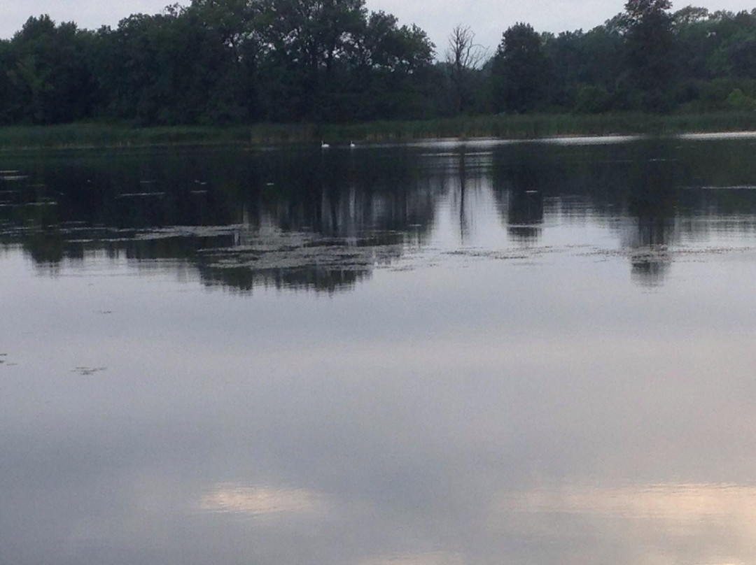 Lake Maria State Park景点图片