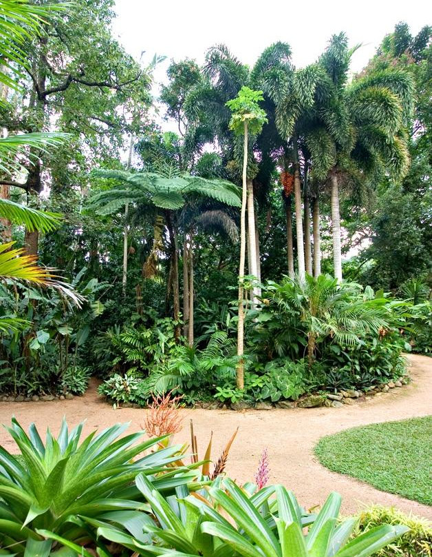 凯恩斯植物园-凯恩斯必去景点