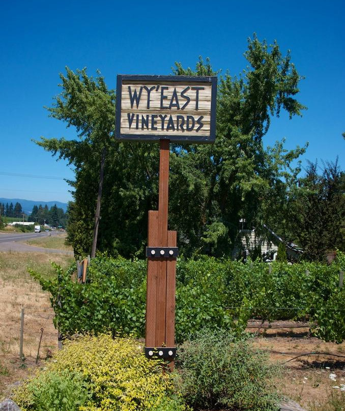 Wy'East Vineyards-胡德里弗必去景点