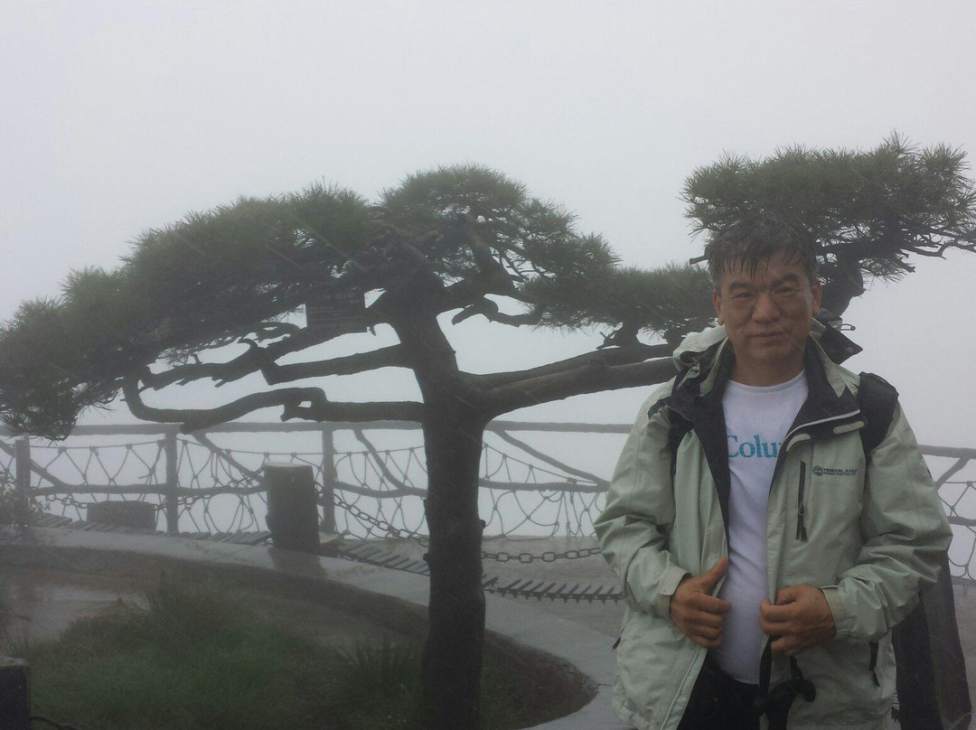 倒淌河景点图片