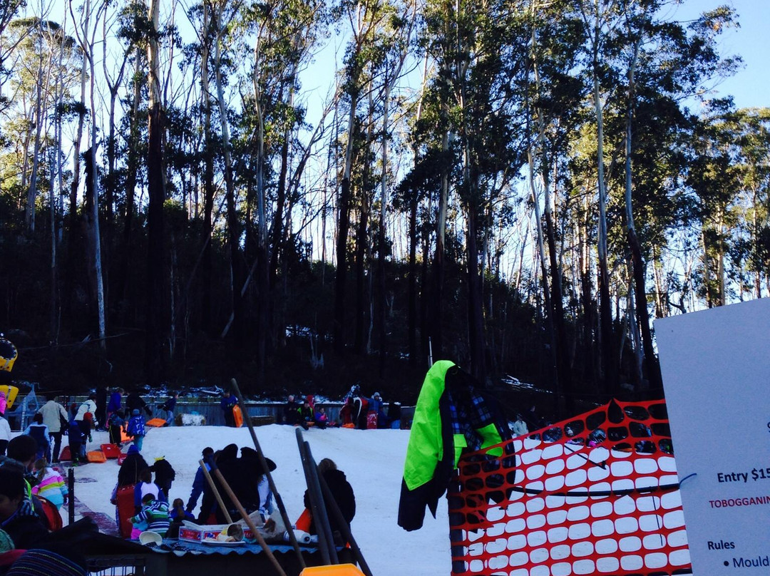 Corin Forest-Paddys River必去景点