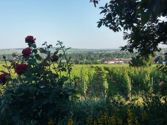 Inn Magdalenenhof主图