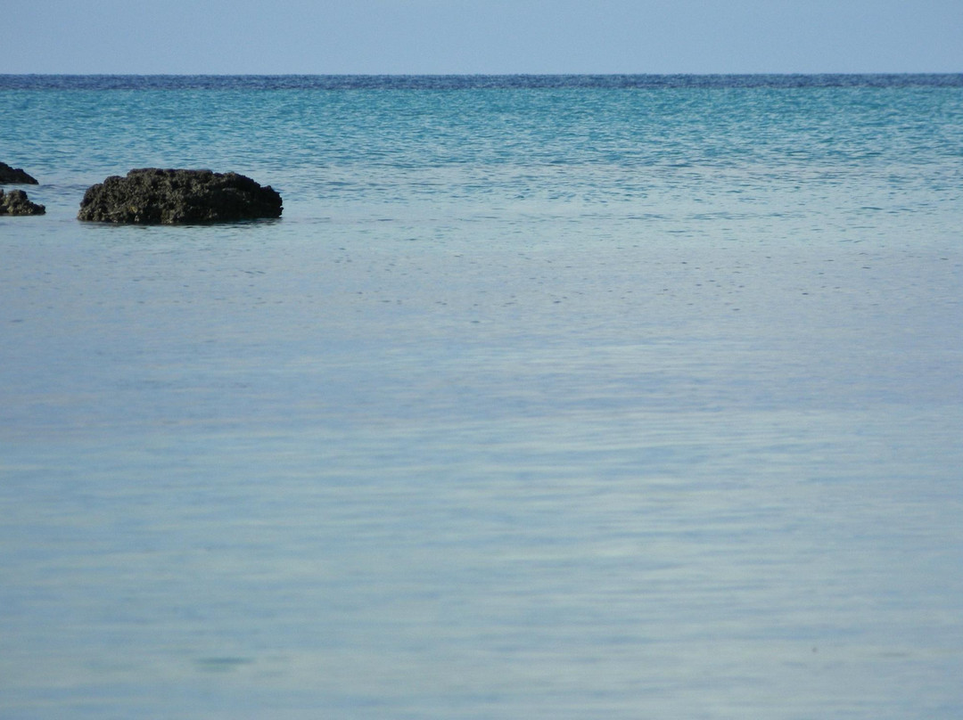 Crystal Clear Kayaks Bda-Somerset Village必去景点