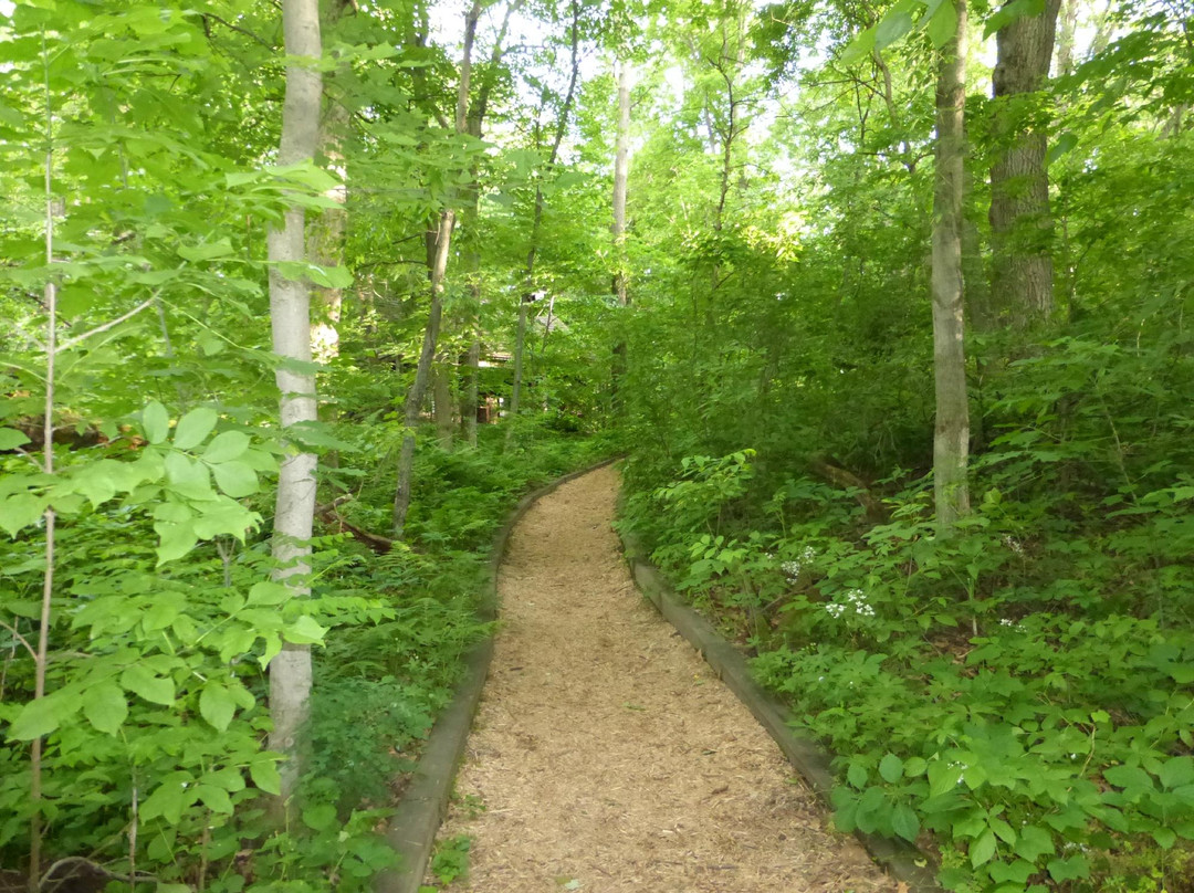 Eloise Butler Wildflower Garden and Bird Sanctuary-明尼阿波利斯必去景点