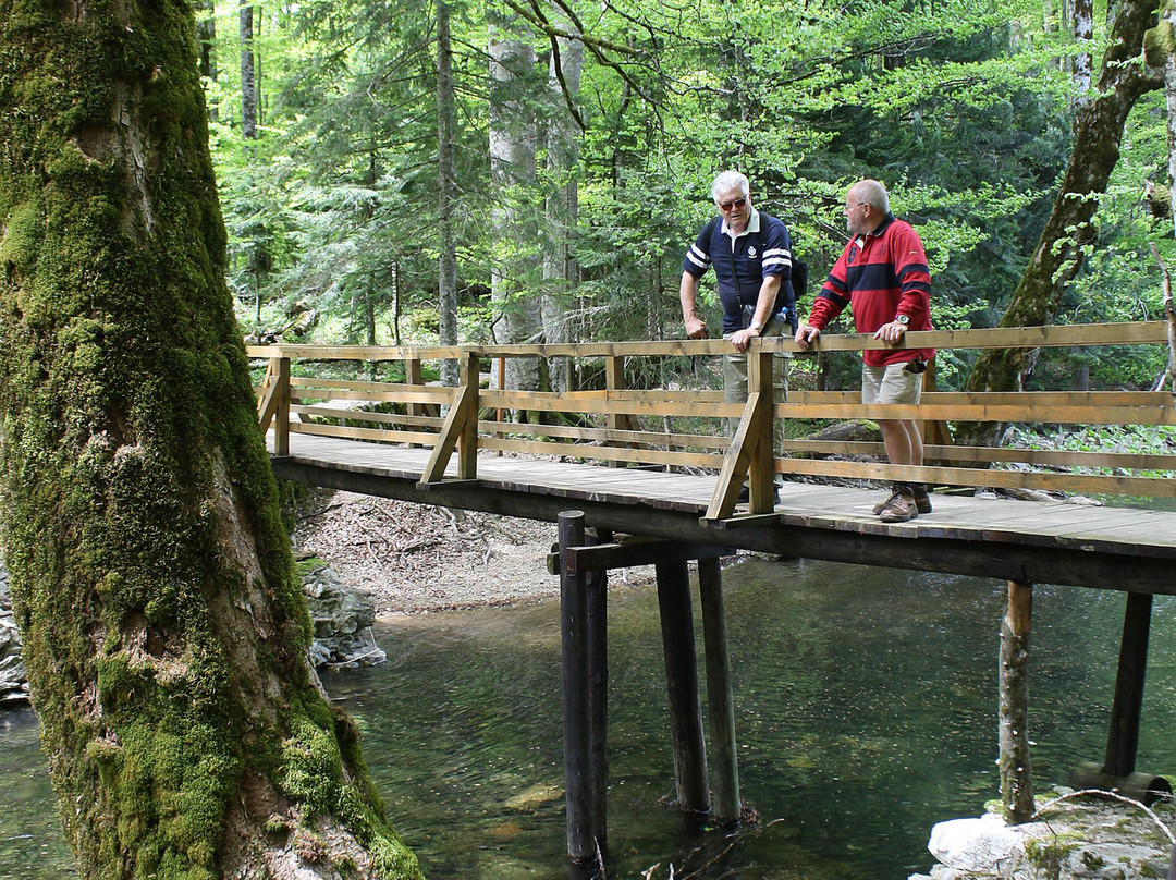 Biogradska Gora-Kolasin Municipality必去景点