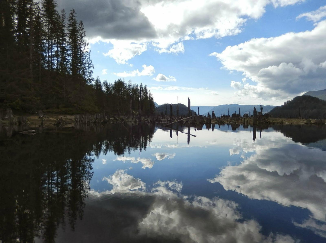 Mitchell's Canoe Kayak & Sup Sales And Rentals-鲍威尔里弗必去景点