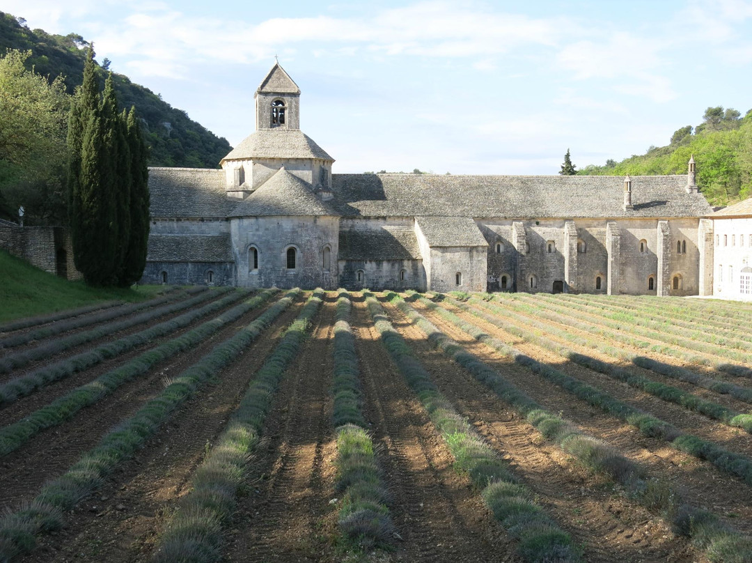 Taxi-Provence Tours-阿维尼翁必去景点