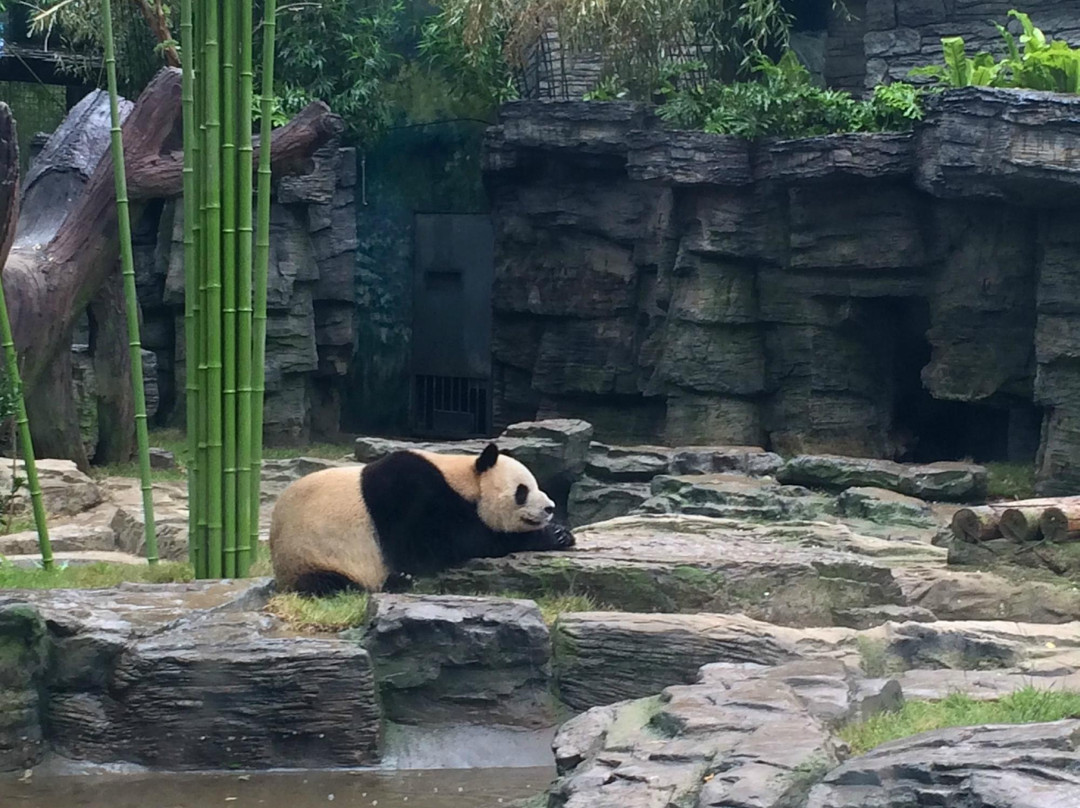 北京动物园-北京市必去景点