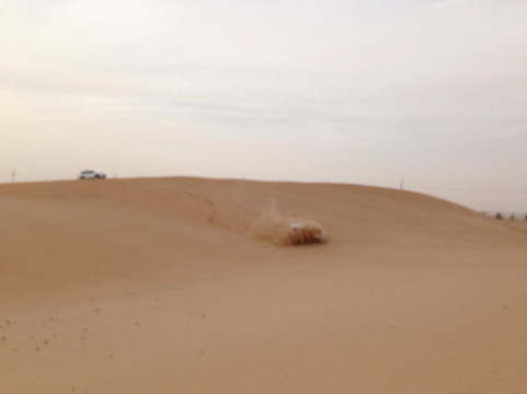 Desert Rose Tourism-阿布扎比必去景点