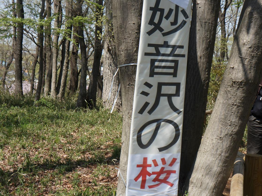 Myoonsawa Special Green Conservation Area-新座市必去景点