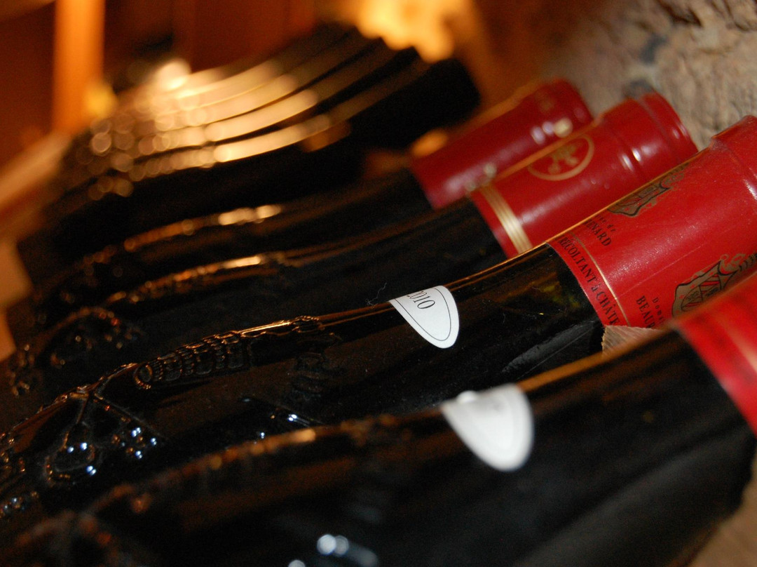 Vinadea - Maison des Vins et Vinotheque-教皇新堡必去景点