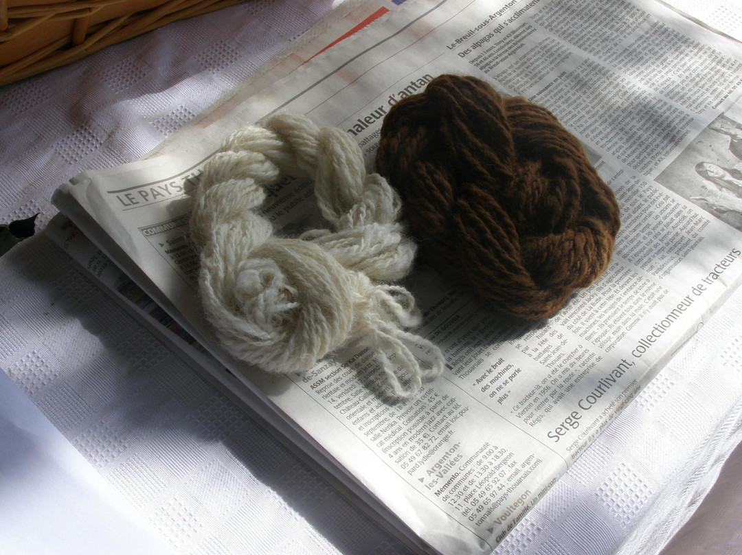 Argenton Alpacas景点图片