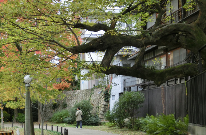 天王寺公园-大阪市必去景点