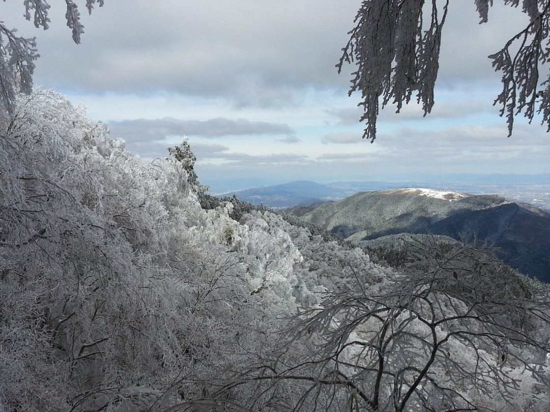 Mt. Kongo-千早赤阪村必去景点