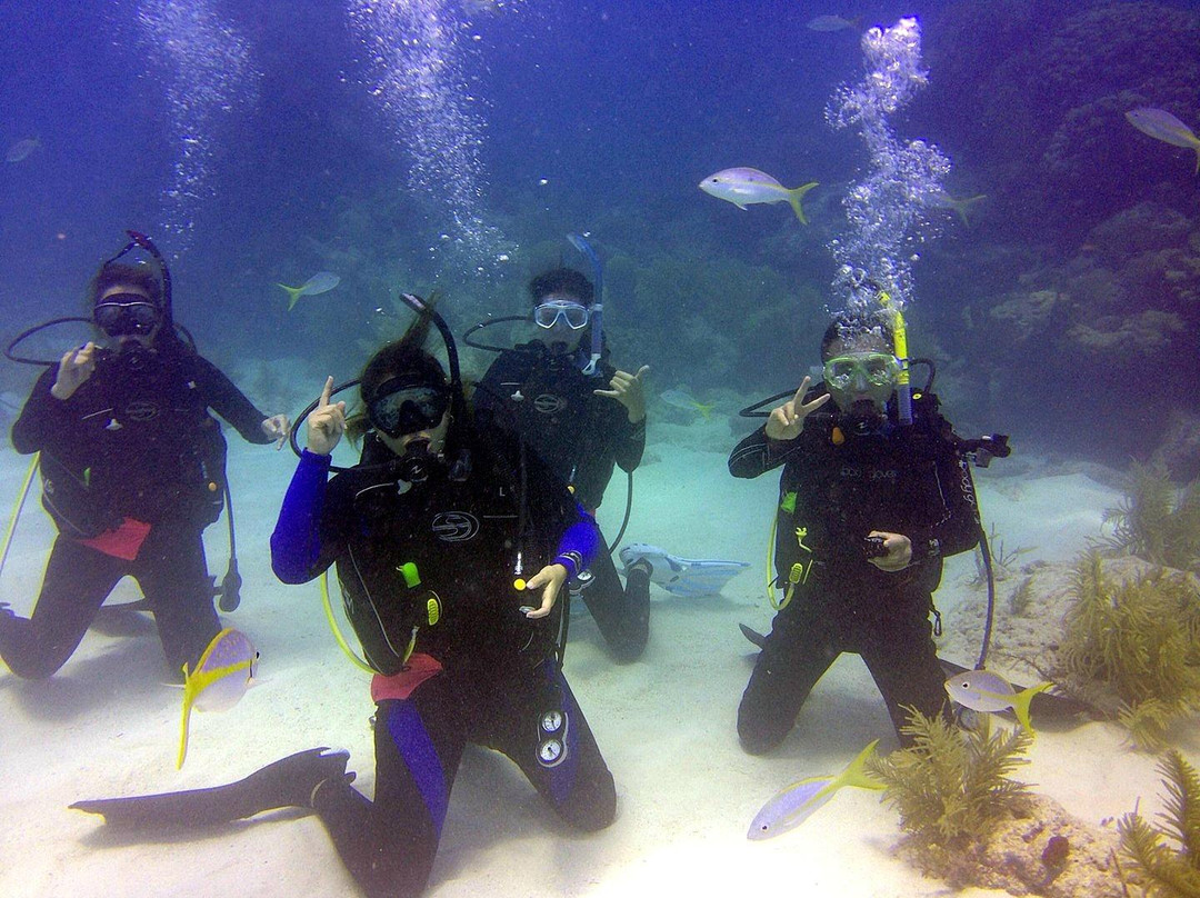 U.S.1 Dive Center-Summerland Key必去景点