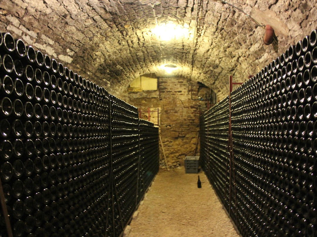 Philippe Leclerc Wine Cellar景点图片
