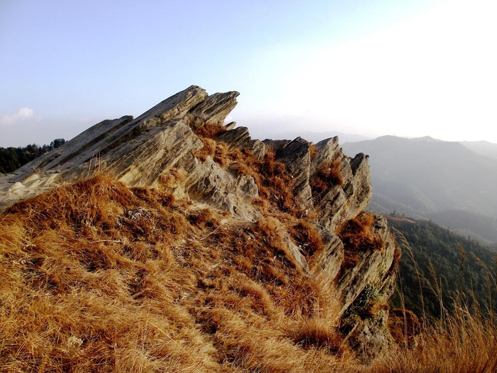 Chauli Ki Jali-Mukteshwar必去景点