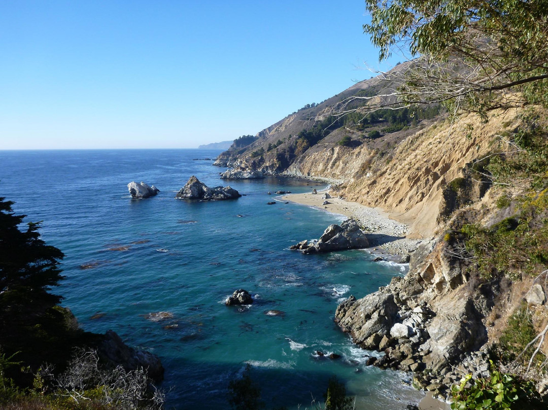 朱莉娅·菲佛·伯恩斯州立公园-大苏尔必去景点