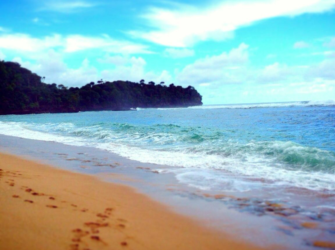 Balekambang Beach景点图片