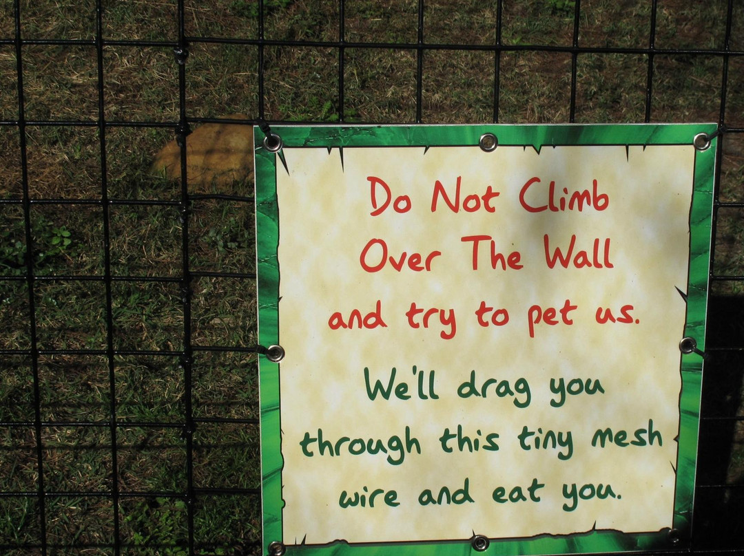 鳄鱼乐园-奥兰多必去景点