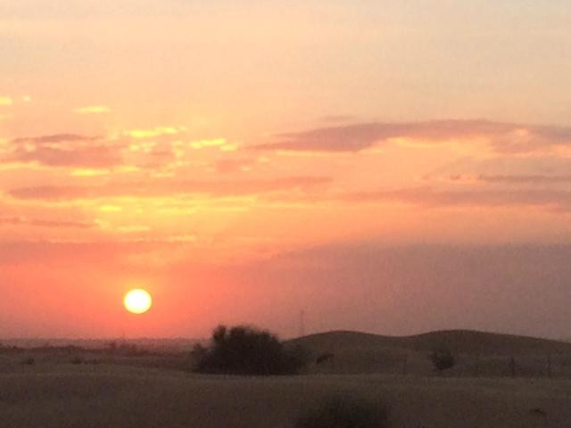 白金奢华探索之旅-迪拜必去景点