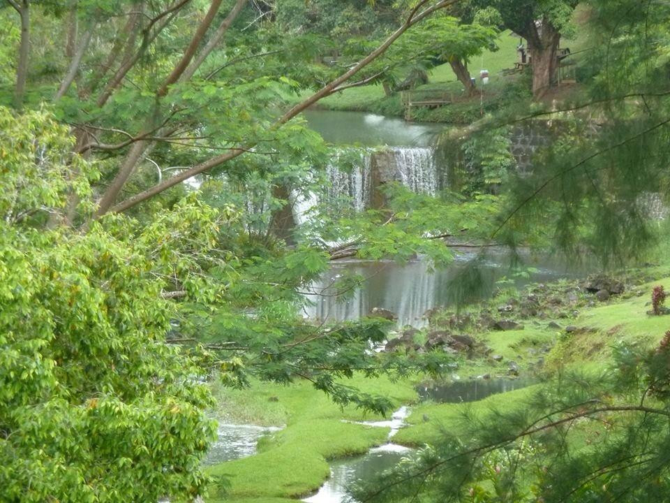 Wai Koa Loop-基拉韦厄必去景点