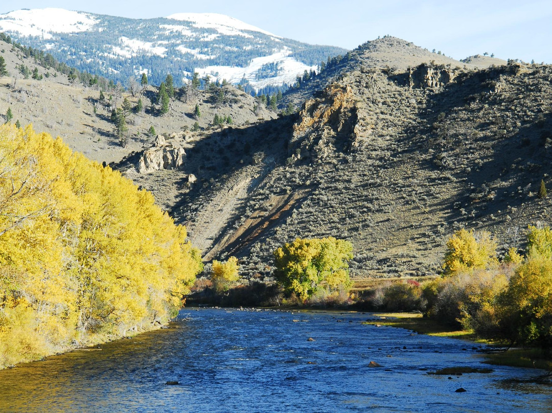 The Complete Fly Fisher
