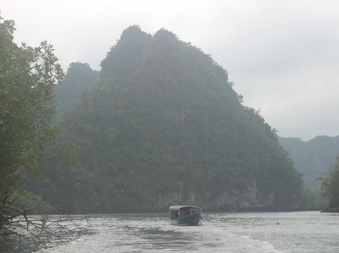 Langkawi Mangrove Tour - Day Tours景点图片