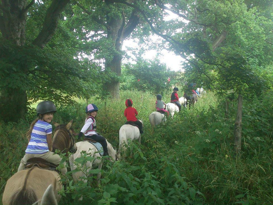 Bank House Equestrian - Private Rides景点图片