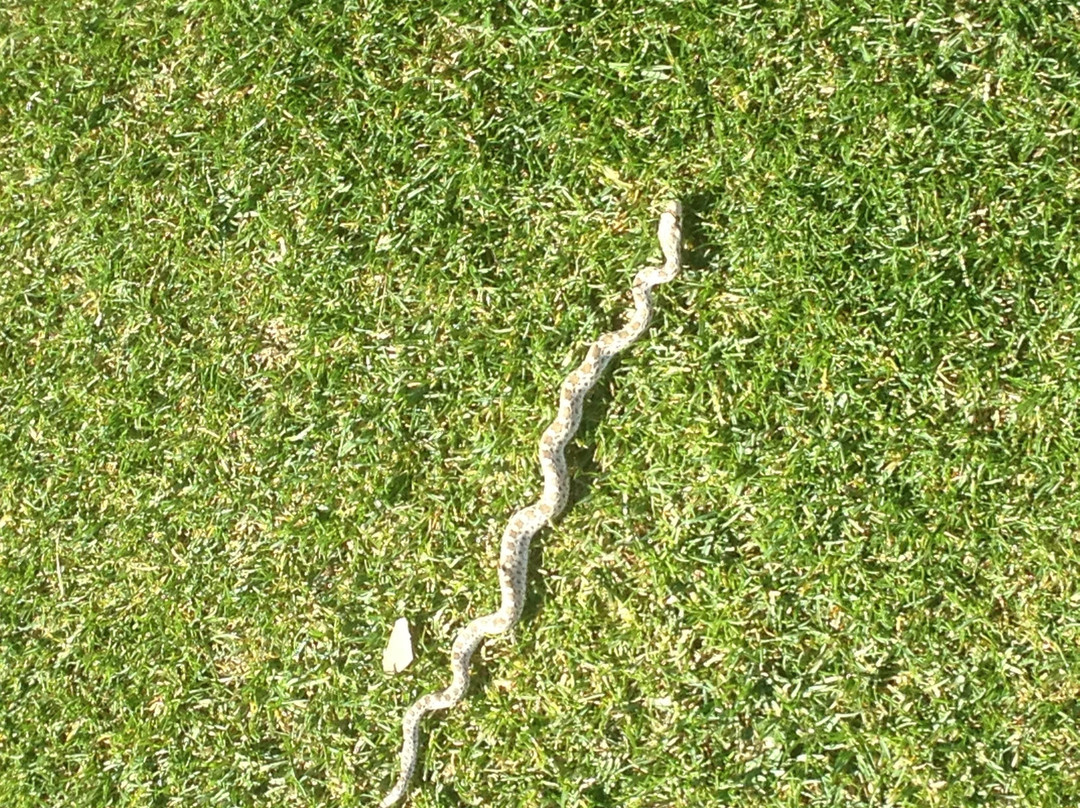 Grande Diablo Golf & Country Club-Patterson必去景点