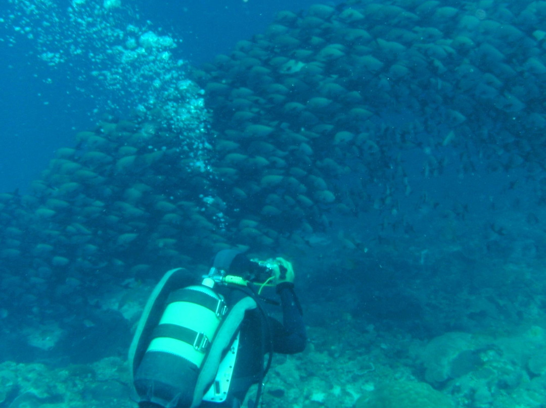 Manta Diving景点图片