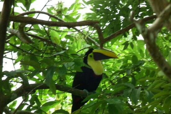 Termales Agua hermosa-圣卡洛斯必去景点