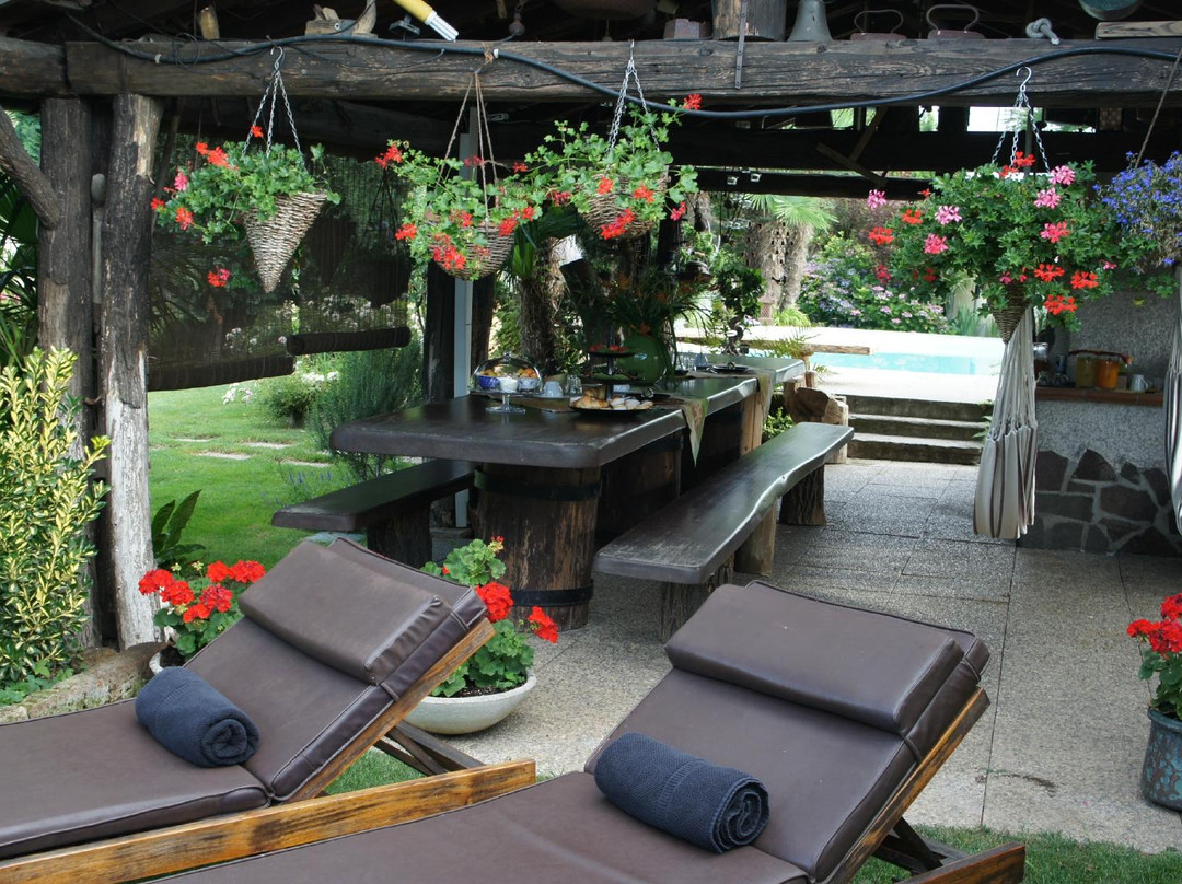 B&B Bamboo House主图