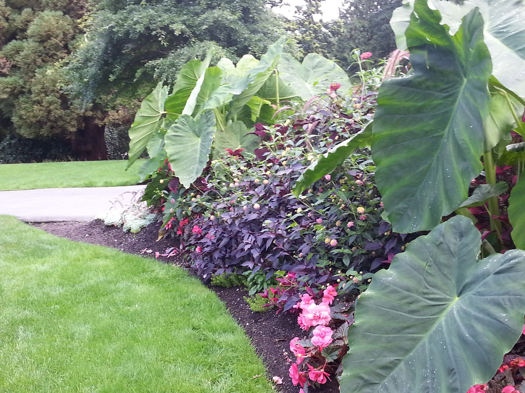 斯坦利公园-温哥华必去景点