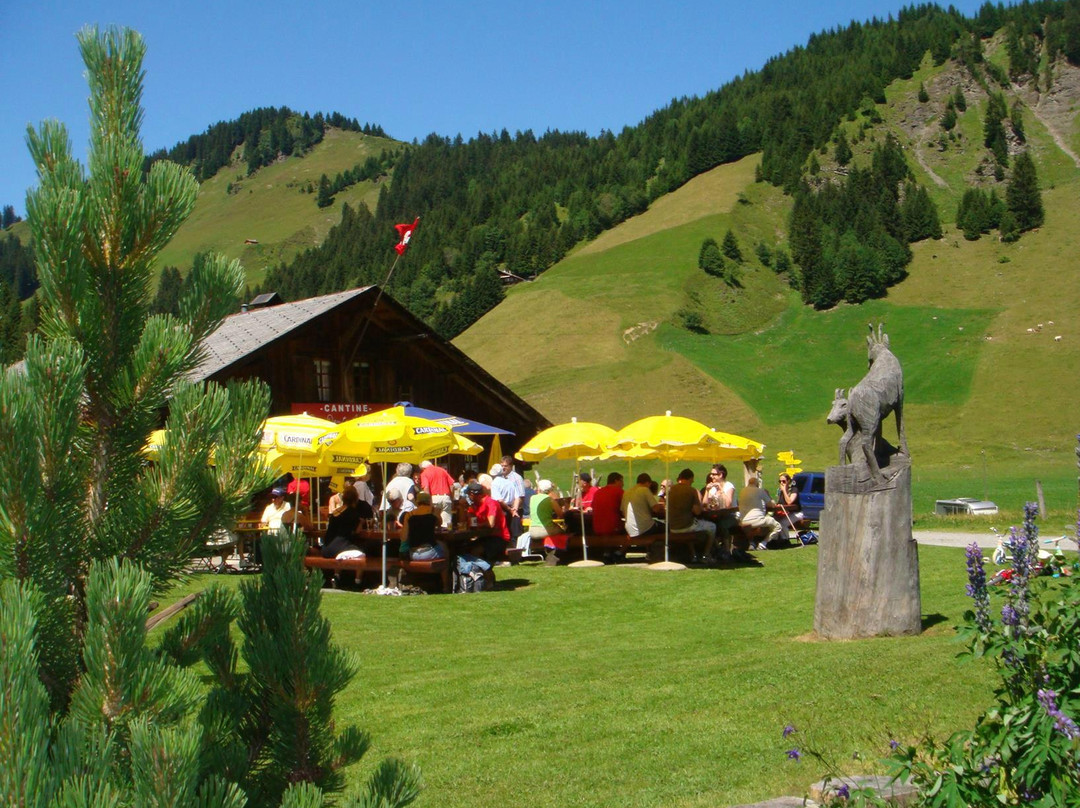 Cantine Des Dents Blanches主图