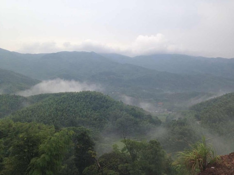 官山自然保护区-宜丰县必去景点