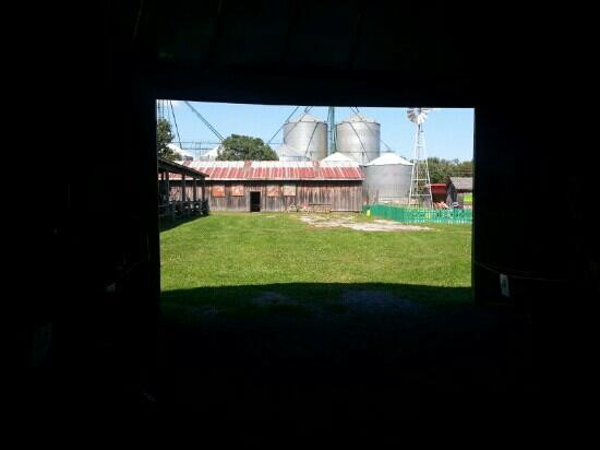 Valleyview Little Animal Farm景点图片