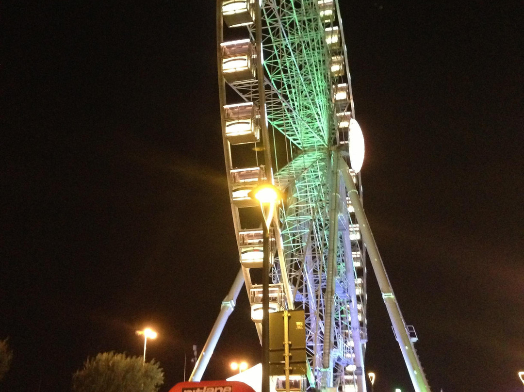 The Wheel of Rimini-里米尼必去景点