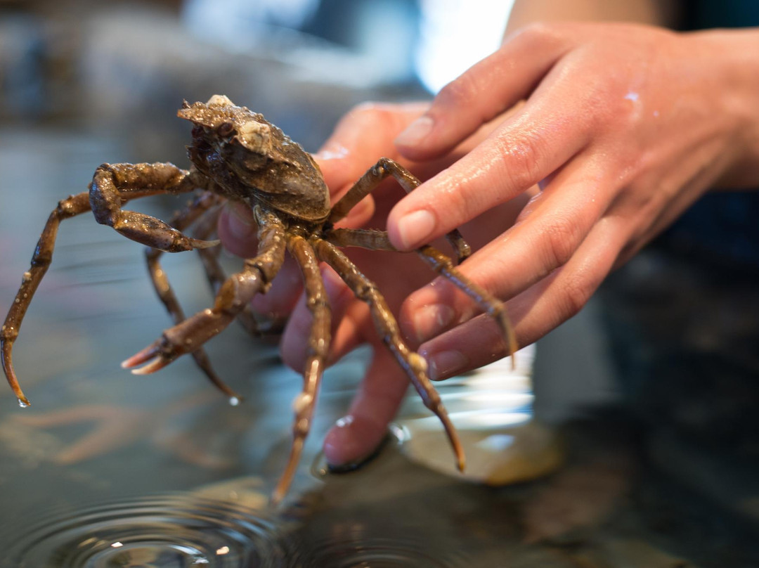 George B. Dorr Museum of Natural History-巴港必去景点