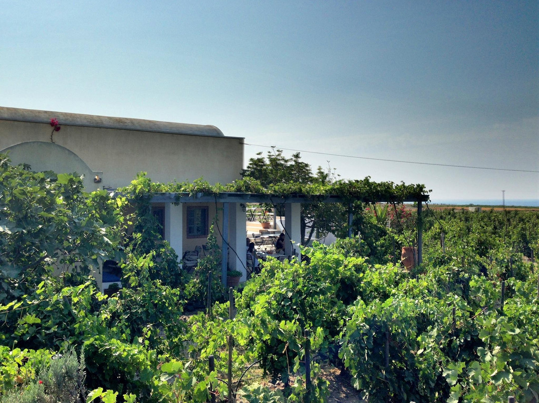 Domaine Sigalas景点图片