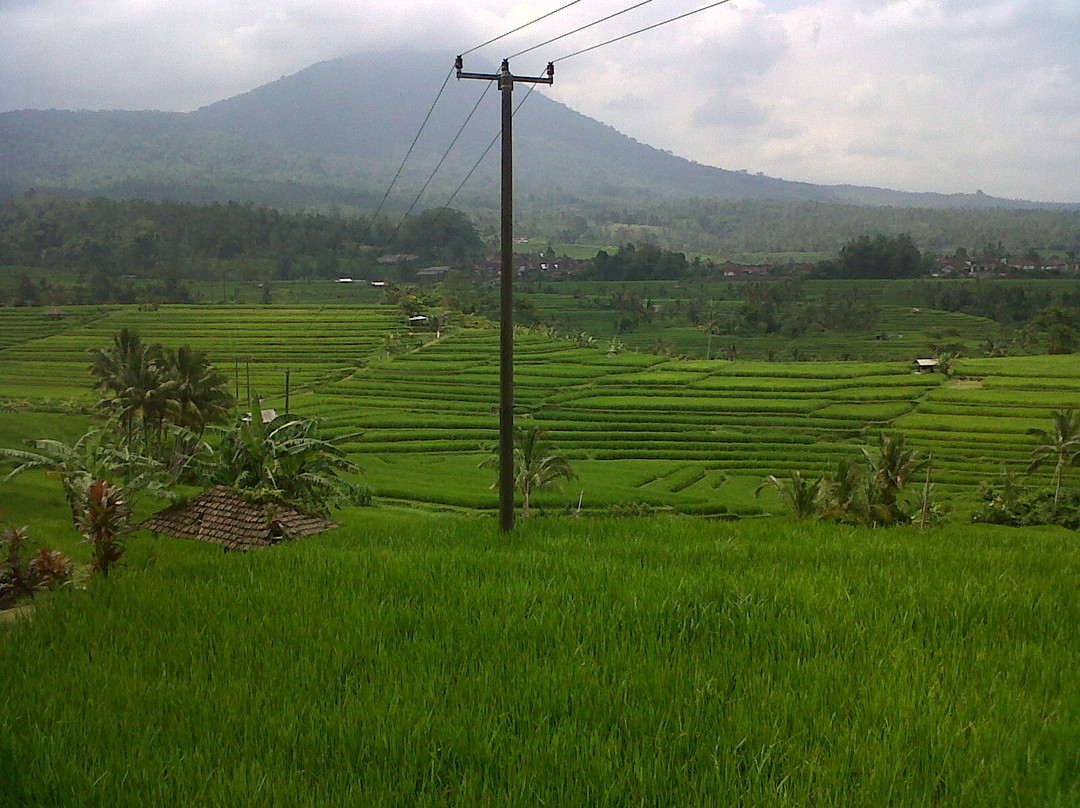 Bali Trip Adventure-登巴萨必去景点