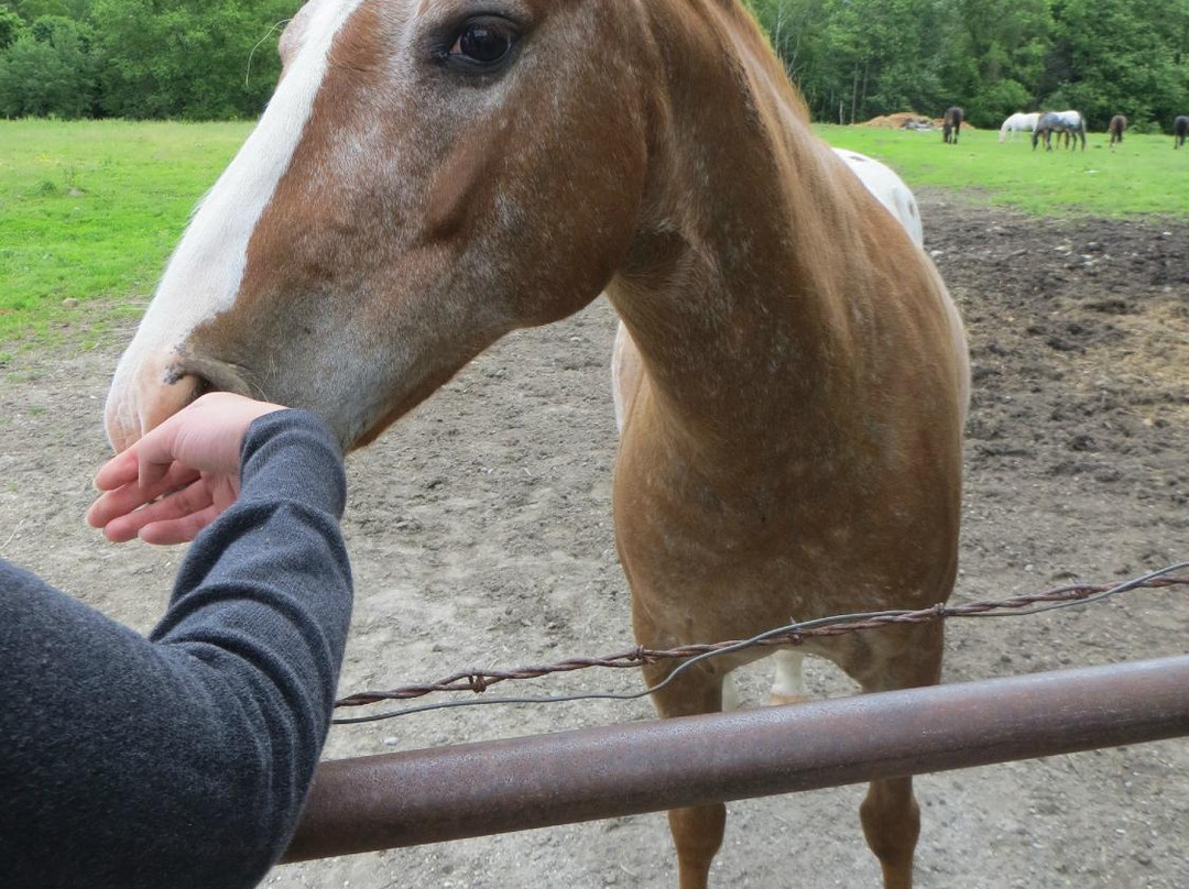 Mountain View Ranch-Danby必去景点